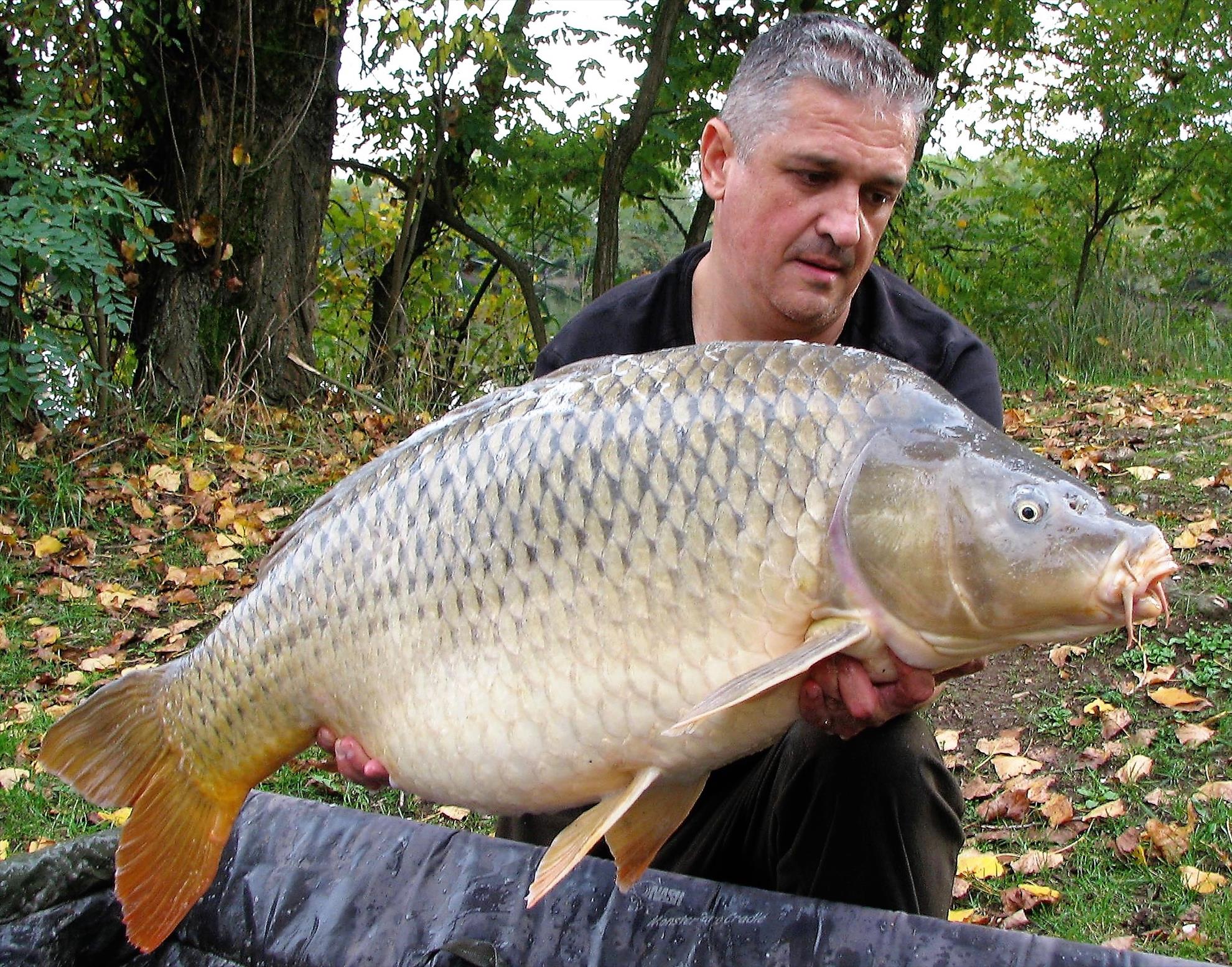 Pelagicevo 8 - 15 octombrie 2017 - img7.jpg